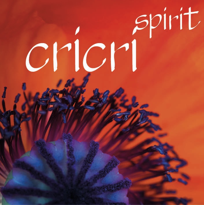 Spirituelle Heilarbeit, Energetische Behandlungen, Akasha-Chronik Beratung, Soul Spirit Circle